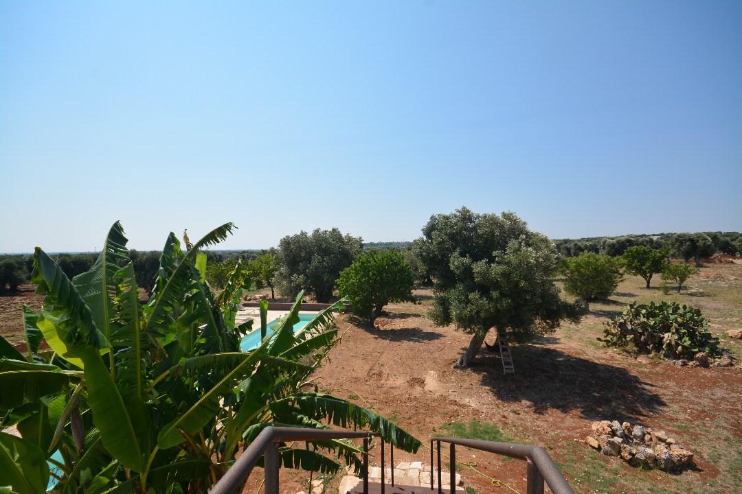 Vista del giardino dalla terrazza sul tetto